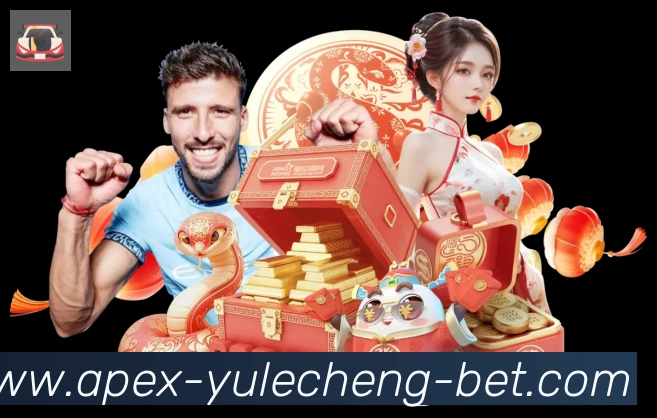 未来规划